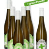 Weinbox - Schmuckstueck - Weißwein - Weißer Burgunder - Spätlese halbtrocken - Weingut Hans-Josef Schäfer KG / vinotom.de - Rheinhessen - Worms - Herrnsheim